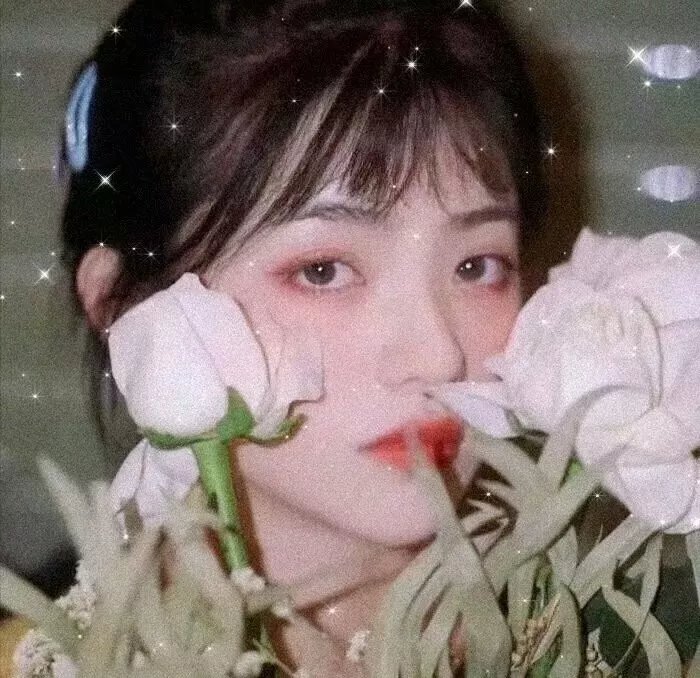 完美生物